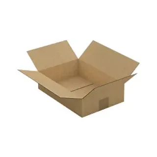 RAJA Versandkarton 1-wellig Pappe 215 (B) x 80 (T) x 310 (H) mm Braun 25 Stück