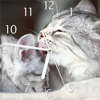 Wallario Design Wanduhr Süße kleine getigerte Katzenbabys aus Echtglas, Größe 20 x 20 cm - Braun
