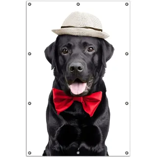 Wallario Outdoor-Poster für Garten oder Balkon, Motiv Schwarzer Labrador Retriever mit roter Fliege und Mütze, in ca. 100 x 150 cm - Weiß
