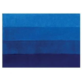 Spirella Badteppich Badematte Badvorleger Duschvorleger Mikrofaser Hochflor flauschig 60x90 cm – Blau