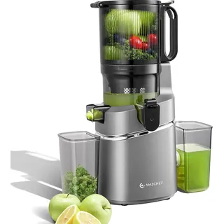 amzchef 250W Automatischer All-In-One Entsafter, 135MM Öffnung und 2L Entsafter für Gemüse und Obst, Entsafter Slow Juicer Testsieger mit Dreifachem Filter - Grau