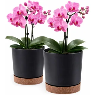 PECZEKO Blumentopf matt, Pflanzkübel aus Übertopf Kunststoff Dekorativer Topf für, groß und klein Pflanzen, 2er-Set blumenkübel, blumenkübel kräutertopf (2 Pack) Anthrazit, ø 18 cm
