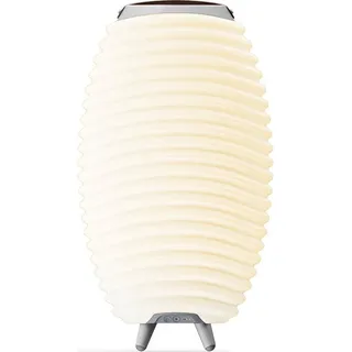 KOODUU Synergy 50 Tragbarer LED Bluetooth Lautsprecher mit Getränkekühler