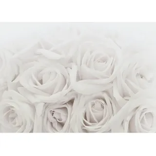 Runa Art Fototapeten 396 x 280 cm Blumen Rosen - Vlies Wanddekoration Wohnzimmer Schlafzimmer - Deutsche Manufaktur - Grau 9258012c