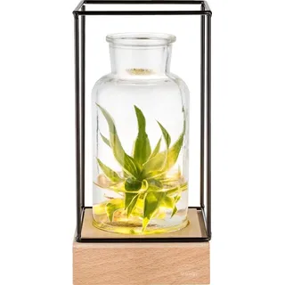 Gadgy Gadgy® Beleuchtete Glasvase mit LED | Moderne Blumenvase Ø8cm für Wohnzimmer Deko | Skandinavisches Design | Ideal als Pflanzen Vase & Geschenk