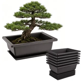 Forhandy 6 Stück Bonsai Schale Wiederverwendbar