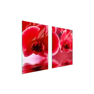 Glasschutzplatte Für Küche 65X52 Orchidee - Rosa