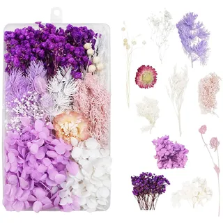 Trockenblumen zum Basteln Trockenblumen Deko Trockenblumen Klein Getrocknete Blumen Deko Trockenblumen Basteln Trockenblumen Set für DIY Basteln Handwerk Epoxidharz Scrapbooking Dekoration (Violett)