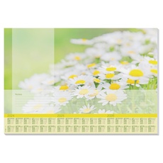 Bild von Schreibtischunterlage Lovely Daisies grün/weiß 30 Blatt