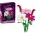 Botanicals Kosmeen 11514