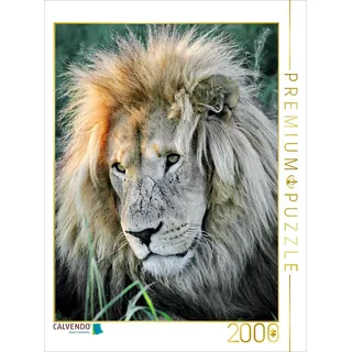 CALVENDO Puzzle Braunes Löwen Männchen. Ein Motiv aus dem Kalender "BIG CATS Fazinierende Nah-Portraits" 2000 Teile Puzzle hoch | 2000 Teile Lege-Größe 90x67cm Foto-Puzzle für glückliche Stunden