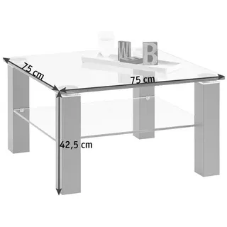Zurbrüggen Vardis Glas transparent / Metal 125 x 56 x 75 cm