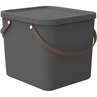 Rotho Aufbewahrungsbox Albula 40 x 40 x 34 cm 1-tlg. grau