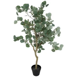 Atmosphera Créateur d'intérieur Künstliche Eukalyptuspflanze in grün | Gr.: onesize
