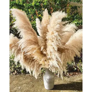 Pampasgras Groß, 16 Stück 110CM Pampasgras Deko Natürliche und Flauschige Pampas Grass XXL Getrocknet Bouquet für Tisch Schlafzimmer Hochzeit Wohnzimmer DIY Trockene Trockenblumen