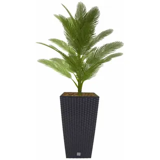 Polyrattan Pflanztopf mit Einsatz 50,5cm anthrazit Blumentopf Pflanztopf Kübel