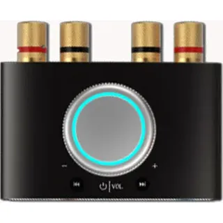 Lepy-168mini Verstärker 100W Black EU Plug - Schwarz
