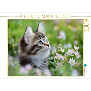 Calvendo Puzzle Verträumte Katze in der Wiese | 1000 Teile Lege-Größe 64x48cm Foto-Puzzle für glückliche Stunden