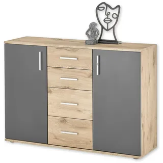 HBZ Sideboard 120 x 84 x 35 cm Grau matt / Eiche