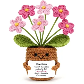 HUKUMA Pocket Hug Blumen, Geschenke für Frauen, Blume Gehäkelt, Gehäkelte Blumen Glücksbringer, Kleine Mutmacher Geschenk für Geburtstag Weihnachten Neujahr