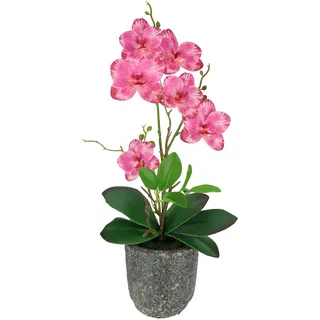 Kunstblume Schmetterling Orchidee mit Blätter und Luftwurzeln im Topf aus Keramik Künstliche Blume Kunstorchidee Phalaenopsis mit Übertopf Kunstpflanze Hochzeit Deko Seidenblume Real Touch Blüte