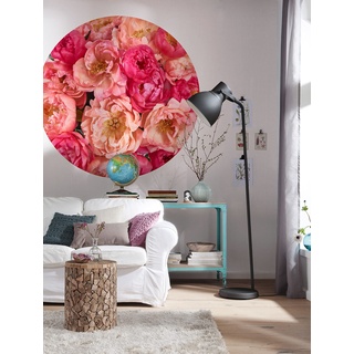 Komar DOT runde und selbstklebende Vlies Fototapete - Roseraie - Ø Durchmesser 125 cm - Blumen, Rosen,Tapete, Wandtattoo, Schlafzimmer, Wohnzimmer, Wanddeko - D1-101