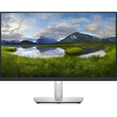 Dell P2422HE (1920 x 1080 Pixel, 23.80"), Monitor, Silber