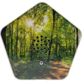 Olympia Sounds of Nature