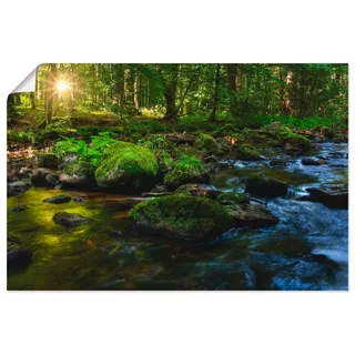 Artland Poster »Feenland« Wald 1 Stk. tlg. ohne Rahmen, grün