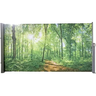 Garden Pleasure Seitenmarkise 160 x 300 cm mehrfarbig Polyester