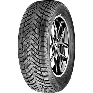 Nordexx Wintersafe 2 205/55 R16 91H