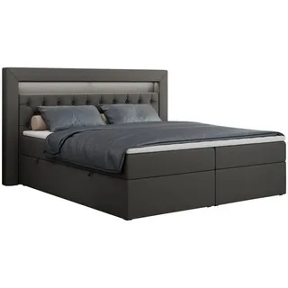 MKS Meble MKS Boxbett Dunkelgrau Textil 2-Sitzer, H4 - Doppelbett mit Bettkasten Stauraumbett, GOLD-6 - - Rechteckig 120x200 cm Schlafzimmer, Betten, Boxspringbetten