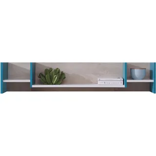 Mirjan24 Wandregal 125 x 25 x 24 cm Blau