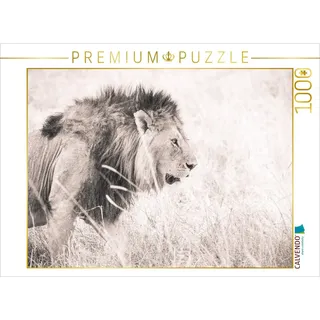 CALVENDO Puzzle Ein Motiv aus dem Kalender Löwen in der Maasai Mara von Kenia 1000 Teile Puzzle quer | 1000 Teile Lege-Größe 64x48cm Foto-Puzzle für glückliche Stunden
