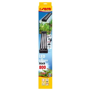 Sera LED fixture