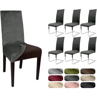 BEAUTEX 6er Set LEA Stuhlhusse, elastische Uni Stretch-Husse aus Samt Mikrofaser Farbe wählbar (Grau)