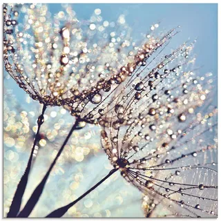 ARTland Glasbild »Pusteblume Tröpfchenfänger«, Blumen, (1 St.), in verschiedenen Größen, blau