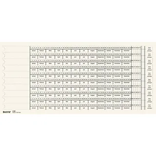 Leitz Organisationsstreifen für Alpha Hängeregistratur, Skala 3+4, 100 Stück, weiss