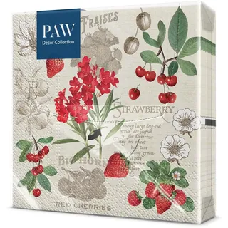 PAW - Servietten 3-lagig (33 x 33 cm) I 20 Stück I Perfekt für Geburtstage, Partys, Hochzeiten, Kommunion und Feiern I Tischdeko Bunte Papierservietten - Erdbeere Kirsche Fruchtig I Summer Fruits