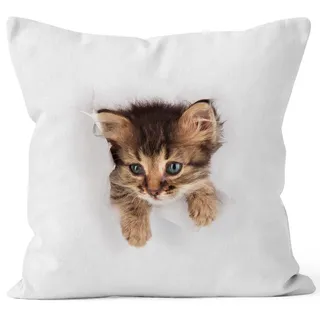 MoonWorks Kissen-Bezug mit süßem Katzen-Aufdruck Katzen Baby schaut aus dem Kissen Weiss Unisize