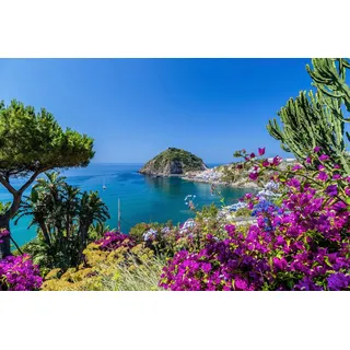 Papermoon "ISCHIA ITALIEN-BOUGANVILLA INSEL MEER BLUME FELSEN WALD", bunt,