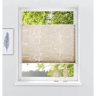 Plissee OTTO HOME "Anna" Gr. 10, beige (sand), B:70cm H:210cm, Obermaterial: 70% Viskose, 30% Polyester, Plissees, Plissee, transparentes Ästemotiv, Bestseller, Für Fenster & Tür, Sonnenschutz, Topseller