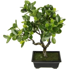 Bild Bonsai Baum in Bonsaischale aus Kunststoff, grün