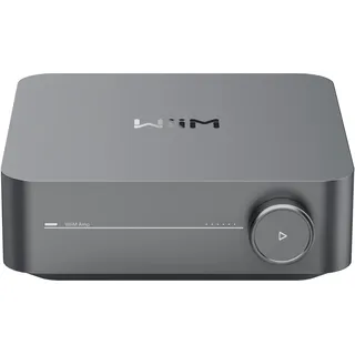 WiiM Amp grau