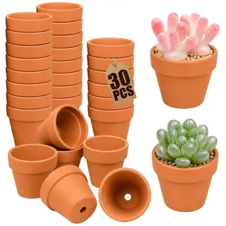 Idota 30 Stück Tontöpfe Klein 4,8x4cm, Mini Blumentopf mit Abzugsloch | Atmungsaktive Ton Kaktus Töpfe für Sukkulenten & Anzucht Glatte Terrakotta Mini Tontöpfe zum Bemalen für Deko & Gastgeschenke