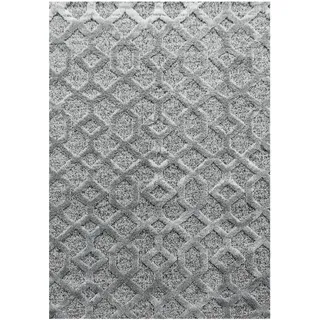 Ayyildiz Hochflorteppich Pisa 4702 Grau 160 cm x 230 cm