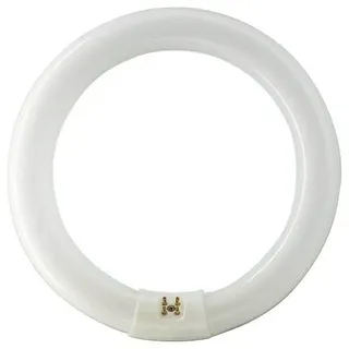 Philips Fluoreszierende Glühbirne Master TL-E Circular 32W/840 G10q