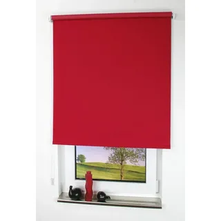 Seitenzugrollo Uni 82 x 180 cm verdunkelnd dunkelrot