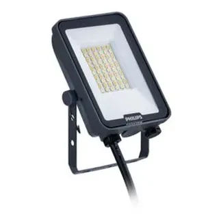 Philips Außenstrahler Aluminium 20 W 2400 Lumen inkl. Bewegungsmelder grau/schwarz
