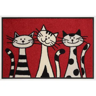 Wash+Dry Three Cats 50 x 75 cm Rot
